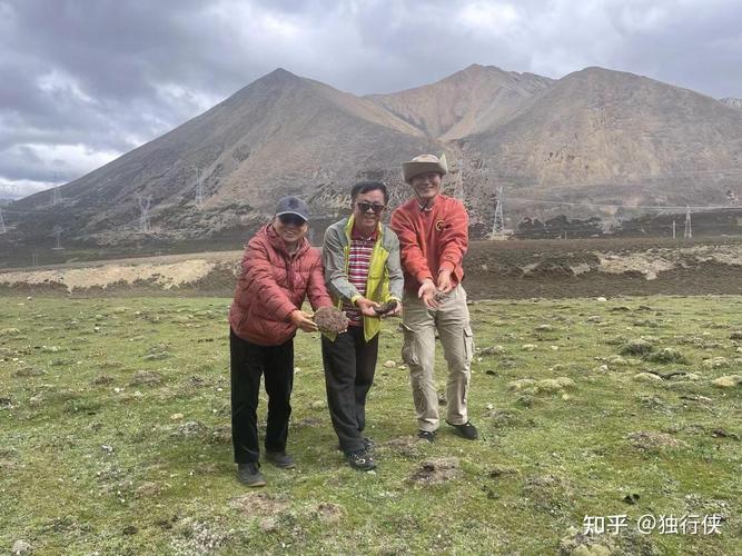 西藏自驾遭两狼夹击,西藏自驾遭两狼夹击视频