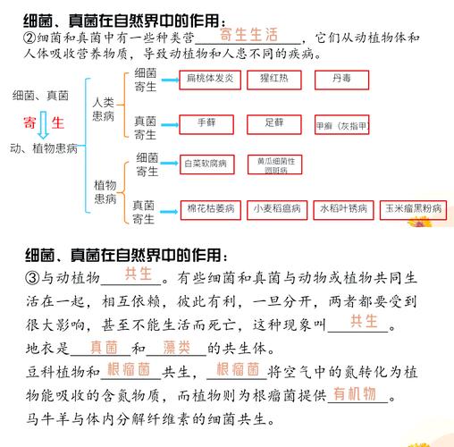 香港澳门 第3页