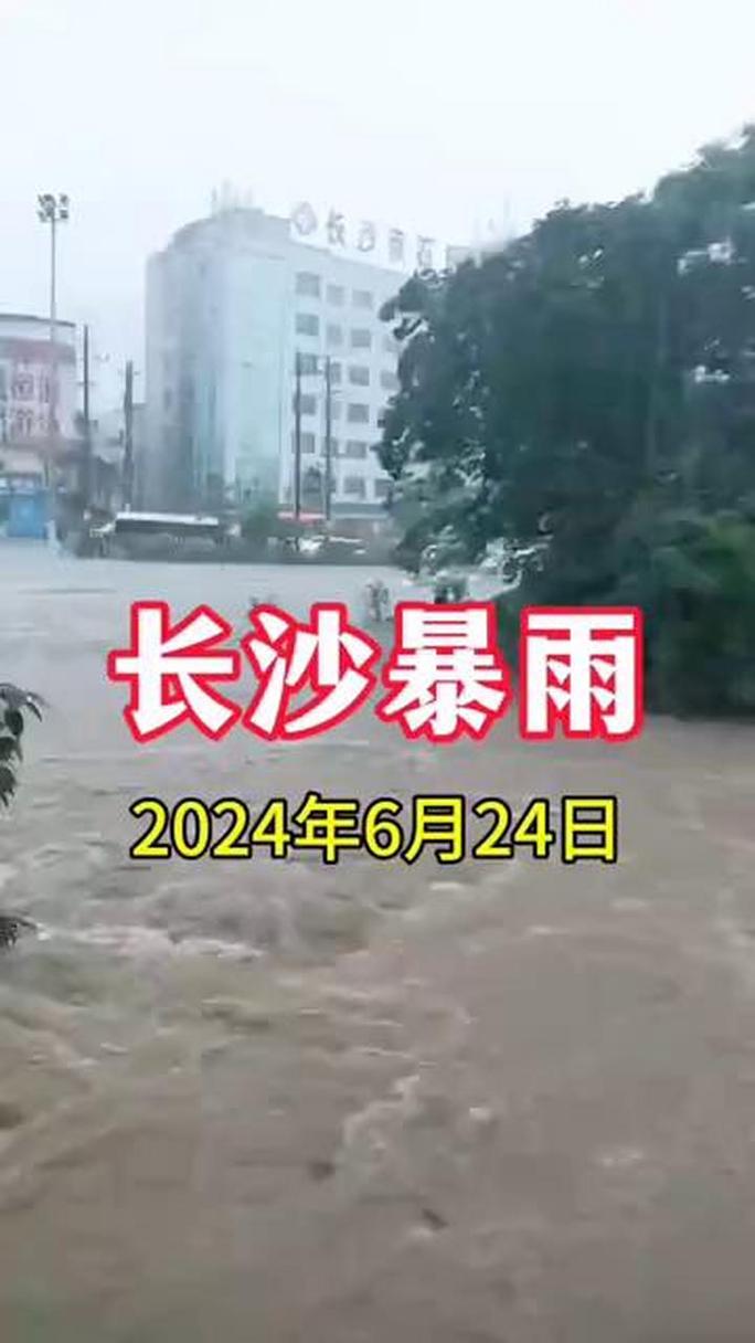 下载中心 第4页