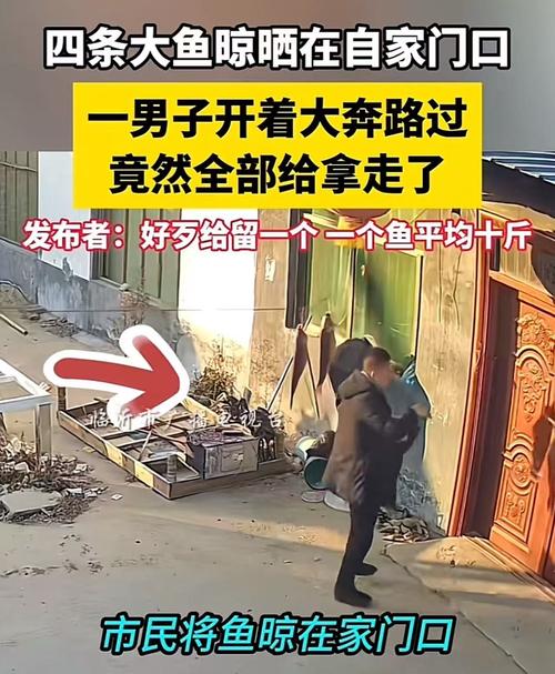 205斤小伙被风吹倒,男子被风吹走